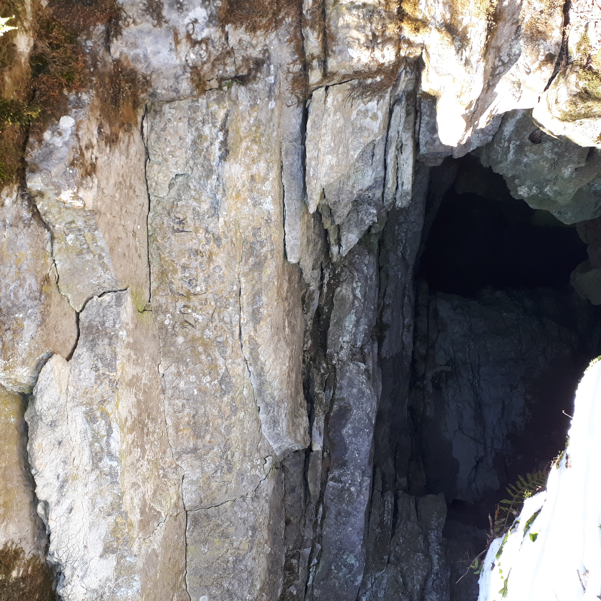 Avenul din Cioaca Mare (Peştera cu Trepţi) - Image 2